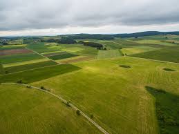 Tarım il müdürlüğünden izin alınması gerekiyormuş yapı izni almak için nasıl bir yol izlemeliyim. Tarla Bolme Nedir Tarim Arazisi Bolme Sartlari Nelerdir