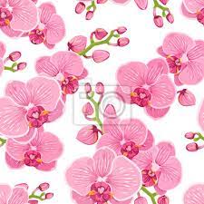 Check spelling or type a new query. Seamless Floral Pattern With Bright Pink Purple Orchid Phalaenopsis Leinwandbilder Bilder Leuchtend Lila Weiss Myloview De