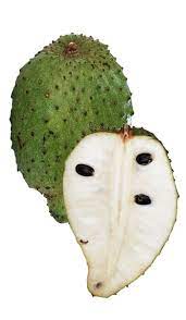 Soursop is the fruit of annona muricata, a broadleaf, flowering, evergreen tree. Soursopguanabana Tree