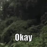 Make your own images with our meme generator or animated gif maker. Youtub Videos Gifs Get The Best Gif On Giphy
