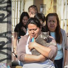 ¿Hubo Temblor Hoy en México? Checa el Epicentro y Magnitud de Sismos; Últimas Noticias de SSN