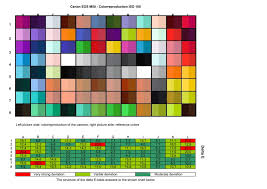 The Best Cameras For Color Reproduction Ranked