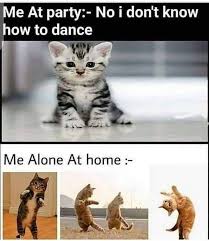 I Don T Know How To Dance Funny Cartoon Memes Some Funny Jokes Very Funny Memes
