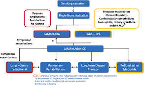 Image result for Medications in COPD Management