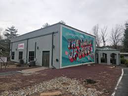 A Date with America - by Thomas Pluck - Fox at Timber Creek