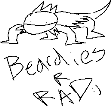 This video is for educational purpose. Mmmmmm Bearded Dragons Are Cool Drawing Clipart Full Size Clipart 1801976 Pinclipart