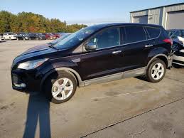 Image result for Kodiak Brown 2013 Escape