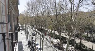 Haz turismo y disfruta la ciudad con la mejor guía. Wohnung In Barcelona El Raval Brickbarcelona