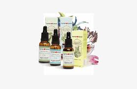Rather than laying out a map. Wellness Human Nature Products Price List Png Image Transparent Png Free Download On Seekpng