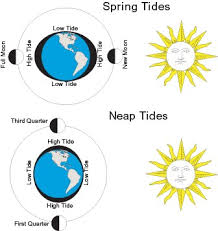 How The Tides Are Created Cabrillo National Monument U S