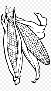 Berikut ini adalah menggambar jagung yang mudah,cara menggambar dan mewarnai jagungadapun bahan dan peralatannya sebagai berikut :1. Permen Jagung Png Pngwing