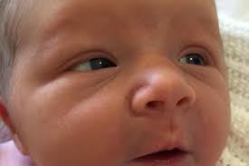 Violet, el nou bebè del matrimoni australià que va perdre 3 fills