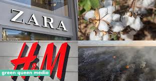 Zara, H&M Linked to Illegal Deforestation & Human Rights Abuses