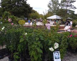 Charras : le parc-pépinière Rustic Palm Grove invite le public au bien-être 