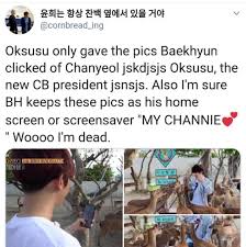 These animals are relatively new and may not working on all fonts or household and wild animal hieroglyphs. Chan Baek 180629 Exo Japan Fanmeet Eyyyy Look At These Two