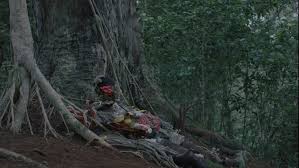 Films listed as untitled do not yet have publicly announced titles. Gaia 2021 Sxsw Review A Timely Environmental Horror Film