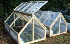 Extend Your Garden S Growing Season Diy Mini Greenhouse Total Survival Diy Mini Greenhouse Home Greenhouse Diy Greenhouse Plans