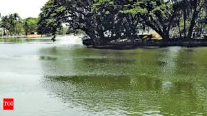 18,000 Karnataka lakes surveyed, 7,600 of them encroached | Bengaluru News  - Times of India
