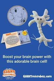 Brain Cell Plush Toy Get Well Gifts Doctor Gifts Funny Gifts