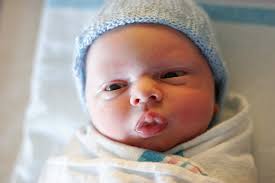 Samson Fisher Leo Legault