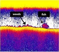 How To Read A Lowrance Fish Finder 2021 Explained And Tips
