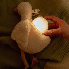 Hug Goose Light & Sound - Buy Little Goose? | Little Dutch