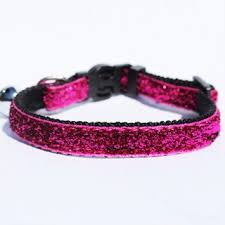 Buy products such as travel cat the true adventurer cat harness and leash set at walmart and save. Leather Cat Collar Shop Dog Collars Dog Leads Dog Clothes Dog Harness