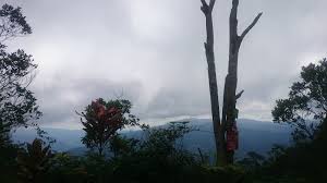 A 4 km trail from bukit putus to the summit or via ulu bendul to. Cara Saya Ke Gunung Angsi Nothing To Somethings