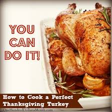 How to cook thanksgiving dinner with one oven. How To Cook A Perfect Thanksgiving Turkey One Hundred Dollars A Month