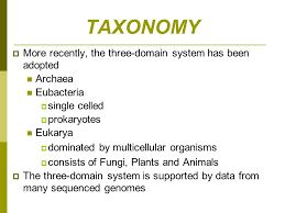 Evolutionary Patterns Rates And Trends Ppt Download