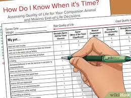 It's a highly individual decision. How To Cope With Having A Dog Put Down 11 Steps