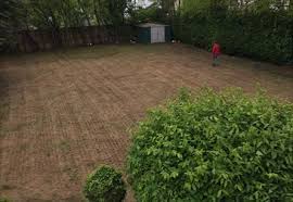 Top lawn care services near you july 2021. Affordable Lawn Care By Lawnfor Me Experts Quality Lawn Care Services