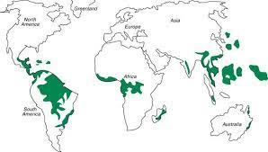 Tropical rainforests occur in every continent except the antarctica, but the vast majority is situated in south america, with brazil taking the biggest chunk. Tropical Rainforests Are Found Near The Equator They Can Be Found In Northern South America Central Americ Rainforest Map Rainforest Project Rainforest Biome