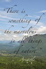 Great Quotes About Nature Quotesgram Go ahead and unite with nature by reading some of the famous nature quotes and nature can mean anything from a horde of green trees, colorful butterflies and scenic lakes to erupting volcanoes. great quotes about nature quotesgram