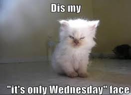 50 Kickass Funny Wednesday Memes To Make Hump Day Better A 'meme' is a widely and often rapidly transmitted opinion, almost always expressed visually. 50 kickass funny wednesday memes to