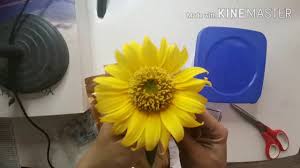 Check spelling or type a new query. Drying Flower Preservation Using Silica Gel Sand Youtube