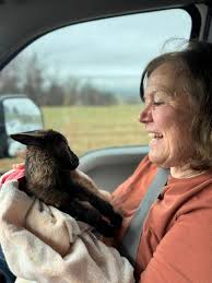 He has to live by himself now. If he is not eating he is riding and I can't  allow him to destroy the future of the other little boys... 1Simba  #nubianpower |