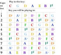 transposing for guitarists dont worry this wont hurt a