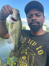 Green pumpkin for bass fishing