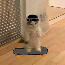 Search the imgflip meme database for popular memes and blank meme templates. Standing Cat Pfp In 2021 Cat Icon Cat Stands Cat Memes