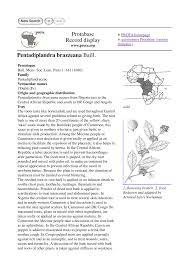 Image result for Pentadiplandra brazzeana