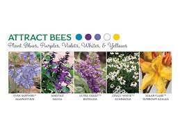 Flowers that attract hummingbirds, bees, and butterflies are certainly on top of my list. The Best Flowers To Attract Butterflies Bees And Hummingbirds Southern Living