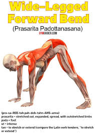 How To Wide Legged Forward Bend Yoga Pose Prasarita Padottanasana 5 Variations Gymguider Com In 2020 Forward Bend How To Do Yoga Yoga Poses For Beginners