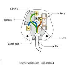 Blank ear diagram human eye diagram unlabeled general and special senses worksheet male and female reproductive system functions skeletal system coloring pages. Plug Diagram Labelled Draw A Schematic Labelled Diagram Of A Domestic Wiring Spark Plug Diagram Spark Plug Diagram Essieh Attire