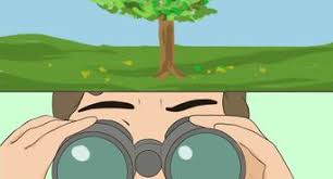 How To Choose Binoculars 12 Steps Wikihow