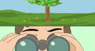 how to choose binoculars 12 steps wikihow