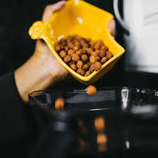 Image result for Ricinodendron