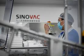 Sinovac and sinopharm's jabs are yet to finish final trials, but are already being shipped overseas. Sinovac S Covid 19 Vaccine Induces Quick Immune Response Study Shine News