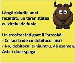 Cele mai proaste fete din lume!!!☠. Bancuri De Cinci Stele Actualitatea Online