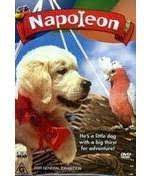 Peck's bad boy with queenie the dog. Napoleon The Dog Movie Home Facebook
